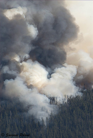 ANTELOPE FIRE_2SR1056