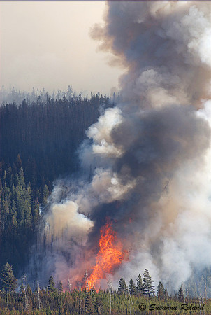 ANTELOPE FIRE_2SR1075