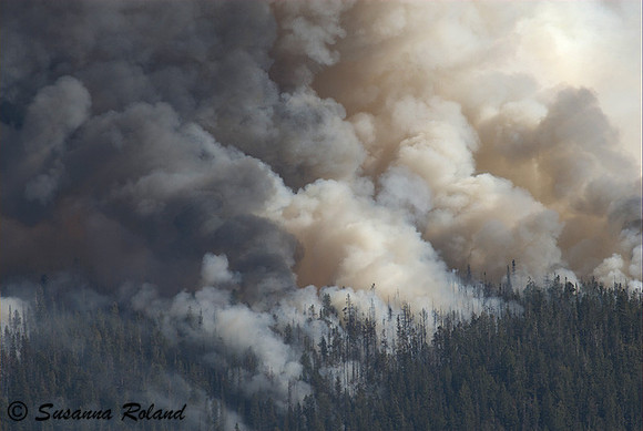 ANTELOPE FIRE_2SR1053