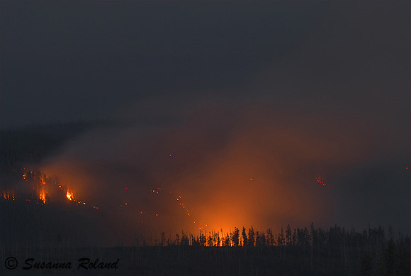 ANTELOPE FIRE AT NIGHT_2SR1156